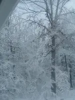 March snow pic\'s 2009 007.webp