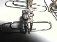 Rings1&2.webp