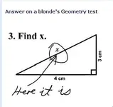 dumb-blonde.webp