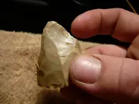 P1000442.webp