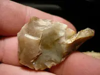 P1000447.webp