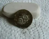DSCF2711.webp