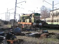 rlocosalv.webp