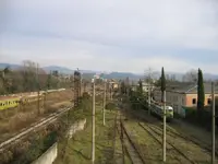 ryardsalv.webp