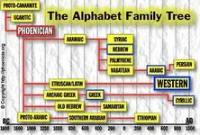 alphatree1.webp alphatree1.webp
