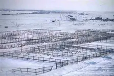 rsealranch.webp