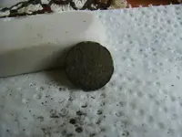DSCF2724.webp