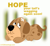 100265.gif