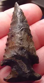 my fossils 216.webp