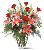 sympathy.webp