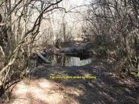 RoadContinuesSouth2.webp