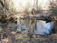 walk the plank2.webp