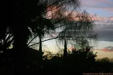 Front Yard.webp