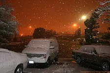 Front Yard 2.webp