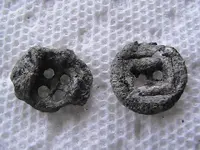 pewter buttons.webp