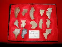 Artifact Pictures 097.webp