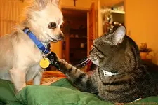 Spunky & Betsy.webp
