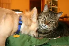Spunky and Betsy.webp