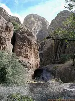 Organ MTS.webp