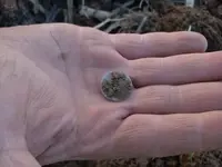 dime in hand.webp dime in hand.webp