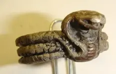 Snake ring.webp