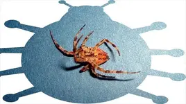 upended spidey.webp