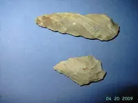 42109 004.webp