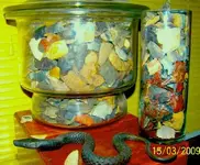 100_1292.webp