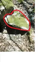 rock.webp
