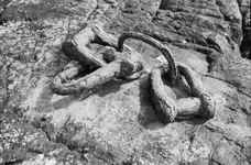 anchor ring rusty.webp anchor ring rusty.webp
