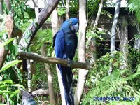 vacation 139.webp
