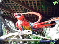 vacation 145.webp