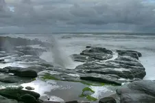 Yachats 018112.webp