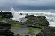 Yachats2 020_RT8.webp