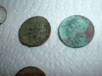wheatie and 67.webp