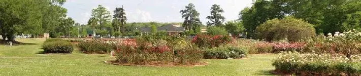 gardenlongview [1024x768].webp