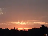 God\'s canvas.webp