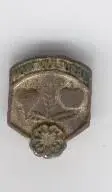 Pin.webp