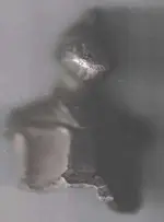 knight.webp