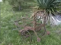 BUGGY.webp
