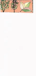 scan0016.webp