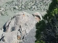is there anything here.webp