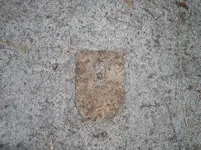 WhatIsIt.webp
