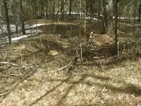sawmill homestead cellar hole.webp
