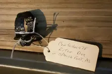 SF Rifle Ring and Tag Web.webp