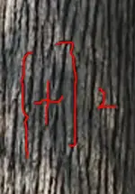 2.webp