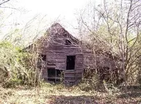 000_0043a.webp