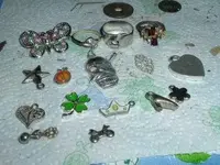 DSCF0696.webp