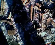 more006.webp