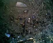 more018.webp